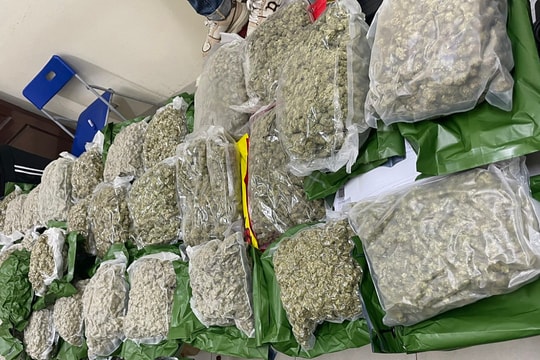 Nhóm 'Cô tiên thơm' tuồn hàng tấn cần sa vào Việt Nam