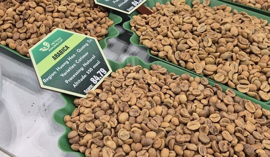 Giá cà phê hôm nay 20-11: Robusta giữ giá tốt