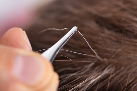 Tóc bạc có thể là dấu hiệu cho thấy cơ thể đang chống lại ung thư