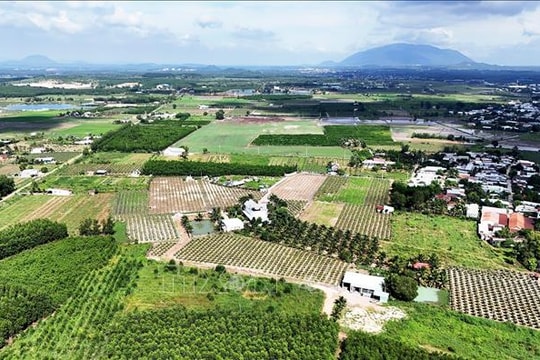 Kỳ vọng nguồn vốn xanh tạo cú hích cho chuyển đổi xanh