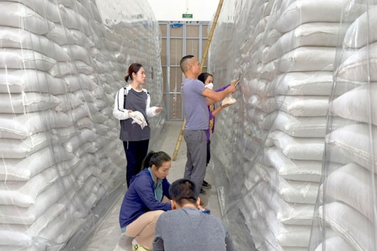 Dự trữ Nhà nước hoàn tất kế hoạch nhập kho 500.000 tấn lương thực năm 2025