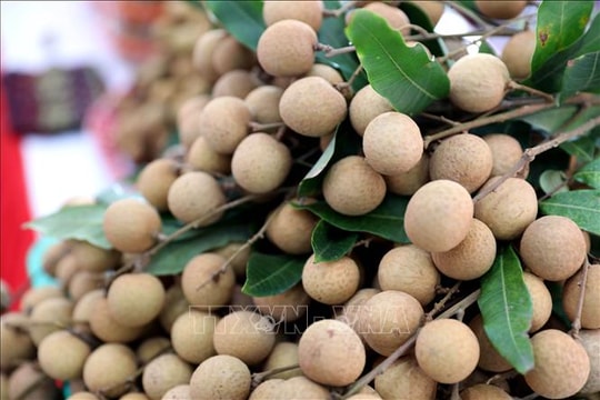 Phát huy giá trị thương hiệu đặc sản sau hợp nhất