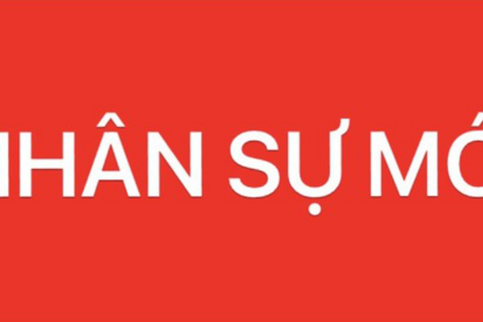 Phê chuẩn kết quả bầu, miễn nhiệm chức vụ Phó Chủ tịch UBND TP Hồ Chí Minh