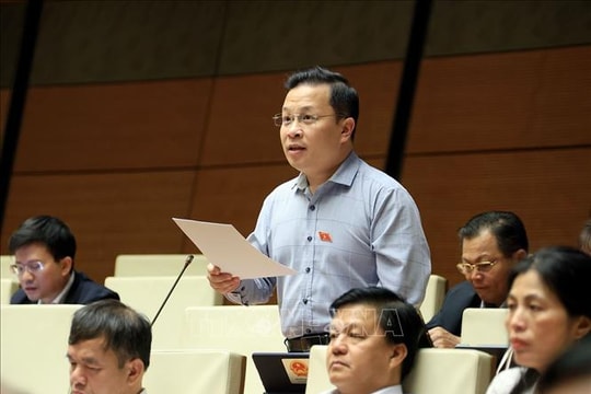 Kỳ họp thứ 10, Quốc hội khóa XV: Hình thành hệ thống thống kê thông suốt