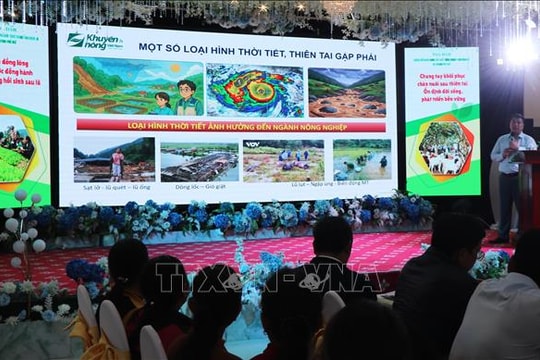 Huế hướng dẫn khôi phục sản xuất nông nghiệp sau mưa lũ