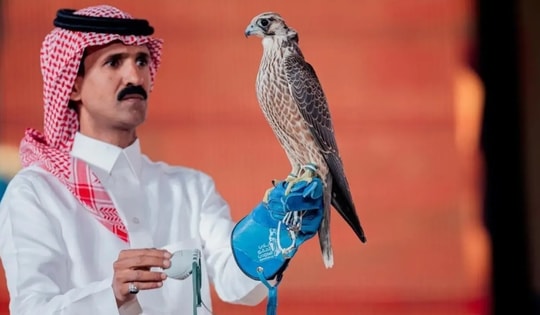 Con chim ưng được bán với giá 2,4 tỷ đồng