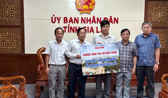 Hơn 90 tỉ đồng ủng hộ Gia Lai khắc phục hậu quả bão số 13