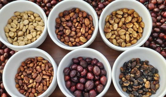 Giá cà phê hôm nay 21-11: Quay đầu tăng rất mạnh