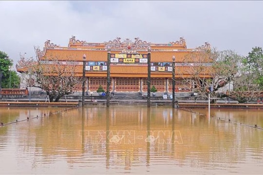 Xử lý khẩn cấp, gia cố đoạn tường thành phía Bắc Hoàng thành Huế