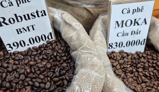 Giá cà phê hôm nay 22-11: Giảm mạnh khi Mỹ xóa thuế cho cà phê Brazil