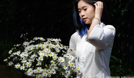 Hà Nội dịu dàng mùa hoa 'gọi đông'