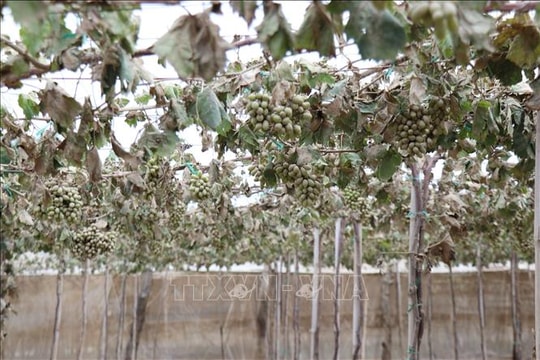 Mưa lũ miền Trung - Tây Nguyên: Ước tính thiệt hại hơn 13.000 tỷ đồng