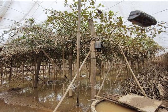 Khánh Hòa: Thiệt hại nặng nề về hạ tầng, nông nghiệp