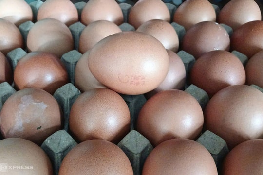 Giá trứng gà tăng mạnh