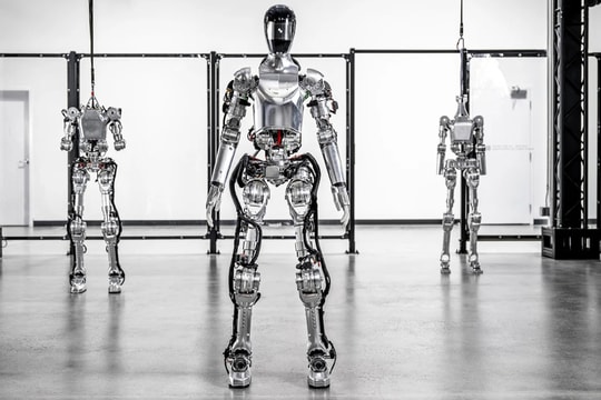 Kỹ sư nói bị sa thải vì cảnh báo sức mạnh của robot hình người