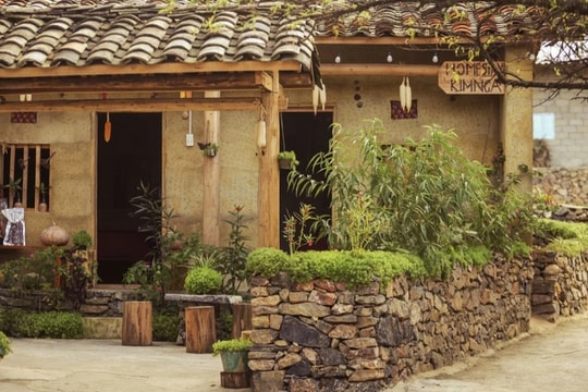 Lô Lô Chải kín khách vì hoa tam giác mạch, giá phòng thổi cao gấp 2-3 lần?