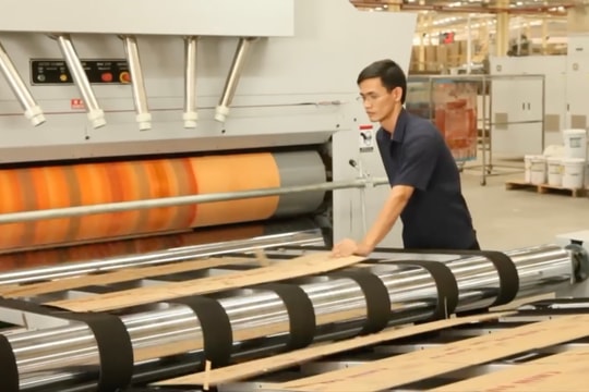 Một doanh nghiệp dự kiến hủy niêm yết vì cổ đông Thái chiếm trên 94%