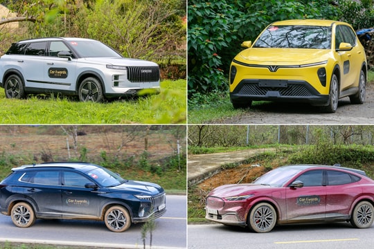 Những mẫu xe cạnh tranh 'Ôtô của năm 2025' thị trường Việt