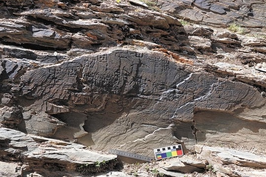 Tần Thủy Hoàng có từng tìm kiếm thuốc trường sinh?