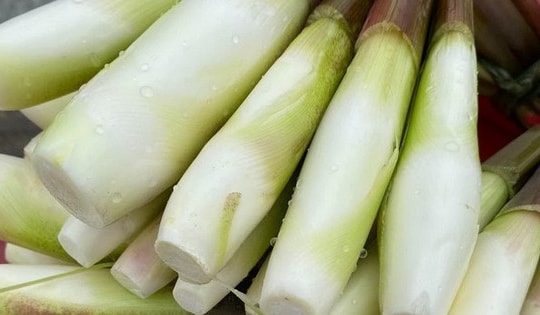 Đặc sản "sâm trong nước": Giàu vitamin, nghèo calo, giúp giảm cân, làm đủ món ngon ngày lạnh