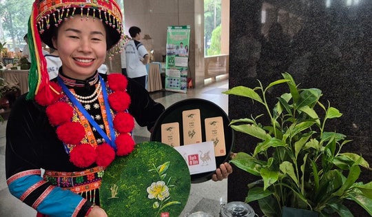 Rộn ràng khởi nghiệp ở vùng cao