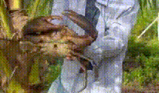 Hé lộ bất ngờ từ người sở hữu "vua cua" Cà Mau