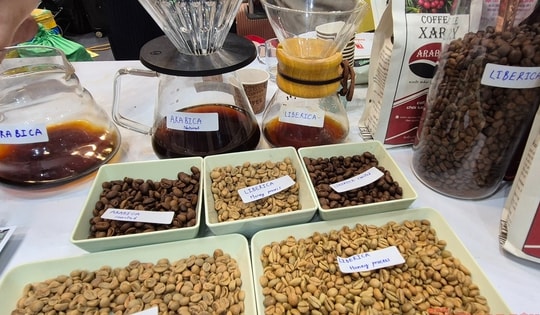 Giá cà phê hôm nay 24-11: Tuần mới sẽ ra sao?