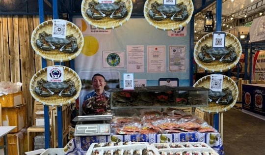 Sự kiện Xin chào Cà Mau tại TP HCM mang về doanh thu hàng chục tỉ đồng