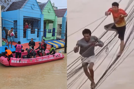 Bão lụt '300 năm có một': Phố biến thành sông, dân Thái Lan đu dây điện tránh lũ