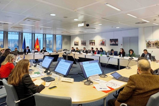 Việt Nam và EU thúc đẩy hợp tác toàn diện