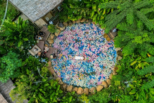 Quán cà phê xếp hàng nghìn bông hoa dưới đáy hồ ở TP HCM