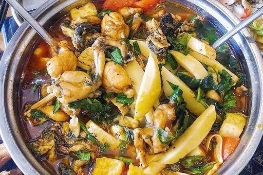 Suýt mất mạng vì nhiễm khuẩn thương hàn sau bữa nhậu