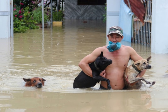 Bão lũ từ đầu năm gây thiệt hại hơn 85.000 tỷ đồng
