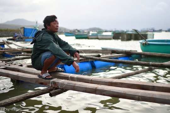 'Thủ phủ' tôm hùm bị xóa sổ sau lũ lịch sử