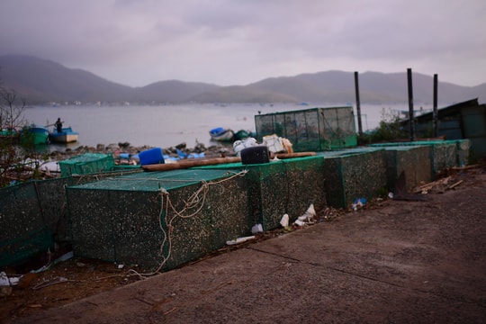 'Thủ phủ' tôm hùm Việt Nam bị xóa sổ sau lũ lịch sử