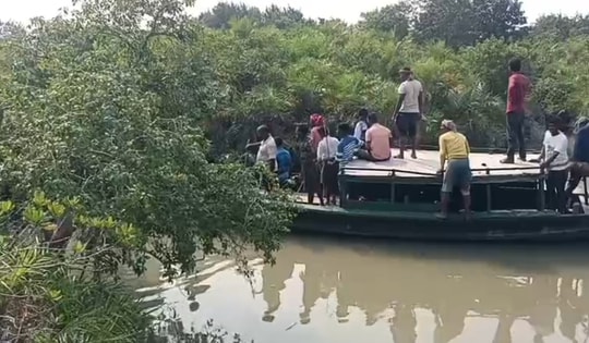 Đi bắt cua, người đàn ông 45 tuổi bị hổ dữ vồ tử vong