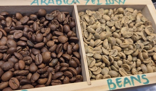 Giá cà phê hôm nay 25-11: Robusta đột ngột đi xuống, Arabica tăng mạnh