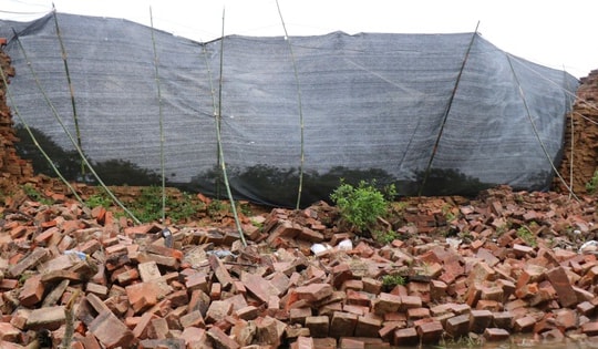 Thách thức bảo tồn di sản trước thiên tai từ vụ sập tường Hoàng thành Huế