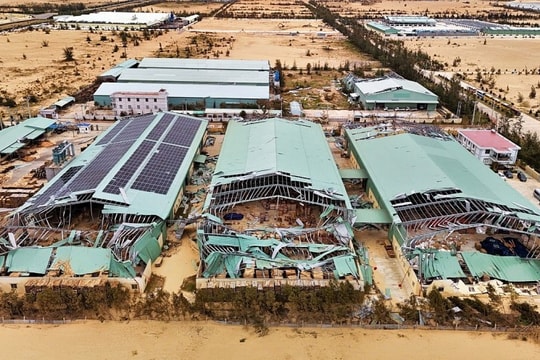 Khẩn trương hỗ trợ người nộp thuế bị tổn thất do bão lũ