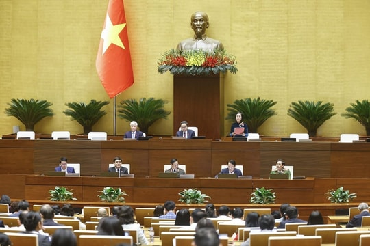 Ngày 26/11, Quốc hội biểu quyết thông qua 4 dự án luật