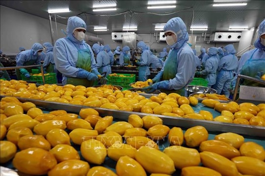 Kỳ vọng năm bứt phá lịch sử của nông sản Việt