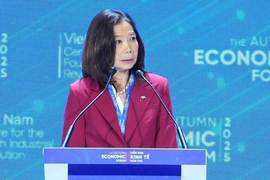 Đại diện Liên Hợp Quốc: Việt Nam nên dùng AI cảnh báo sớm thiên tai