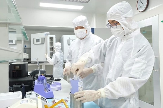 Cơ hội trị bệnh khó từ ngân hàng tế bào gốc công lập đầu tiên