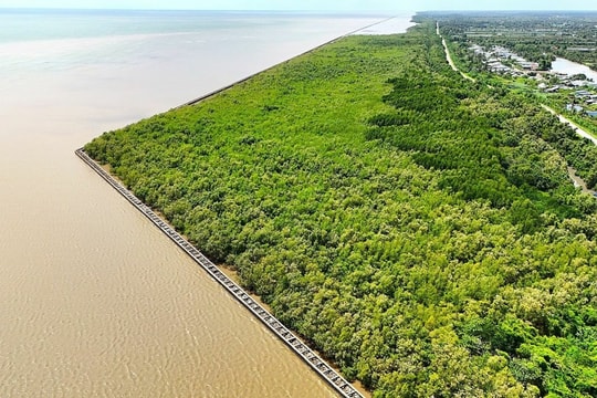 Cà Mau xây kè 'giảm sóng từ xa' bảo vệ đê biển