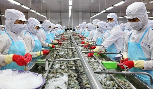 Cổ phiếu thủy sản hút dòng tiền: Chỉ số nào báo hiệu sóng tăng?