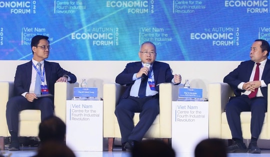 TP HCM lấy đâu ra 34 tỉ USD để chuyển đổi thành đô thị xanh?