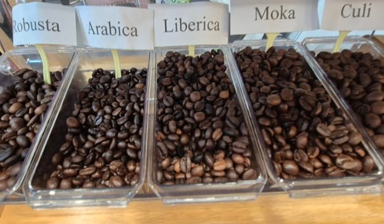 Giá cà phê hôm nay 26-11: Tăng 3 con số trở lại