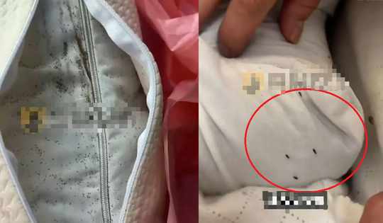 Bỏ 900.000 đồng mua gối, cô gái sốc nặng khi mở ra thấy thứ “rùng mình” bên trong