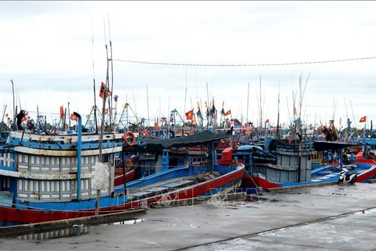 Gia Lai kêu gọi tàu thuyền về tránh trú bão số 15 an toàn