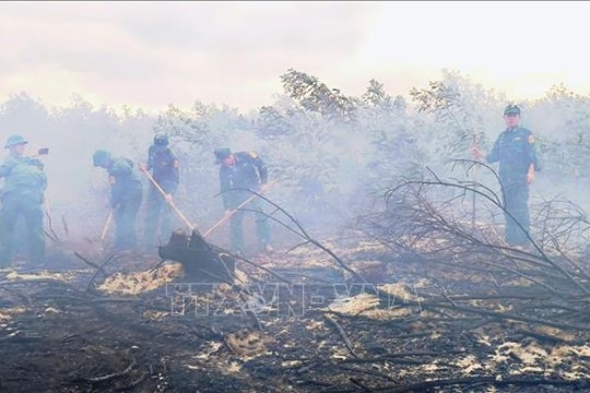 Kịp thời dập tắt vụ cháy rừng phòng hộ tại xã Vĩnh Hoàng, Quảng Trị